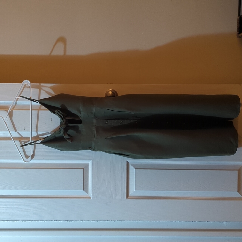 Express dress